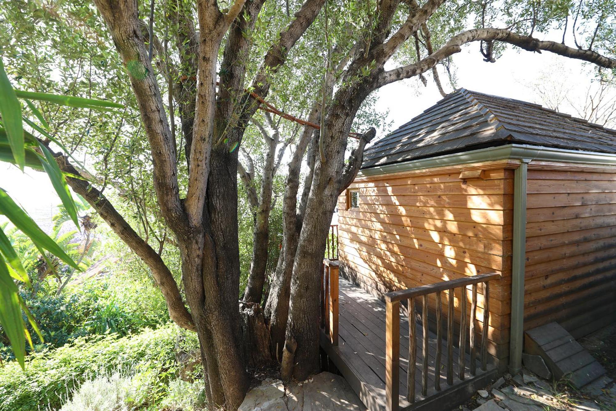 Bed and Breakfast Mimi Calpe Танжер Номер фото